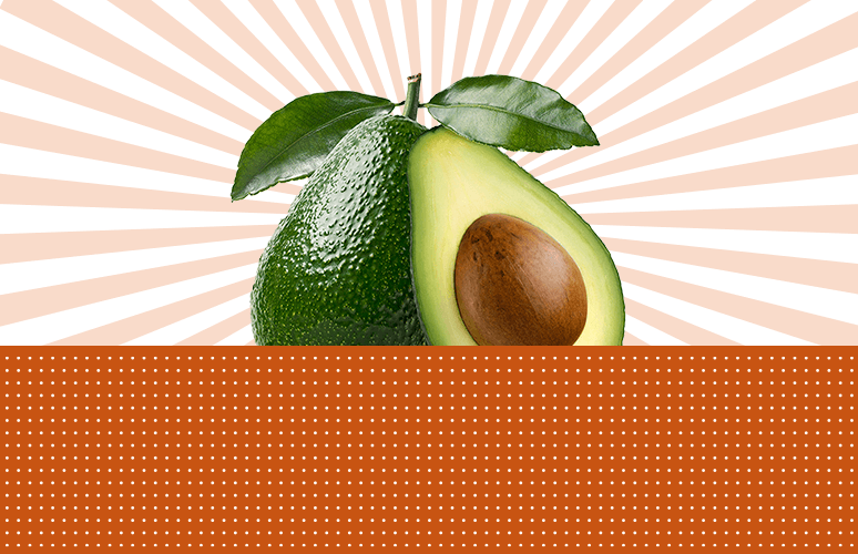 ¡Estamos plantando Aguacates!