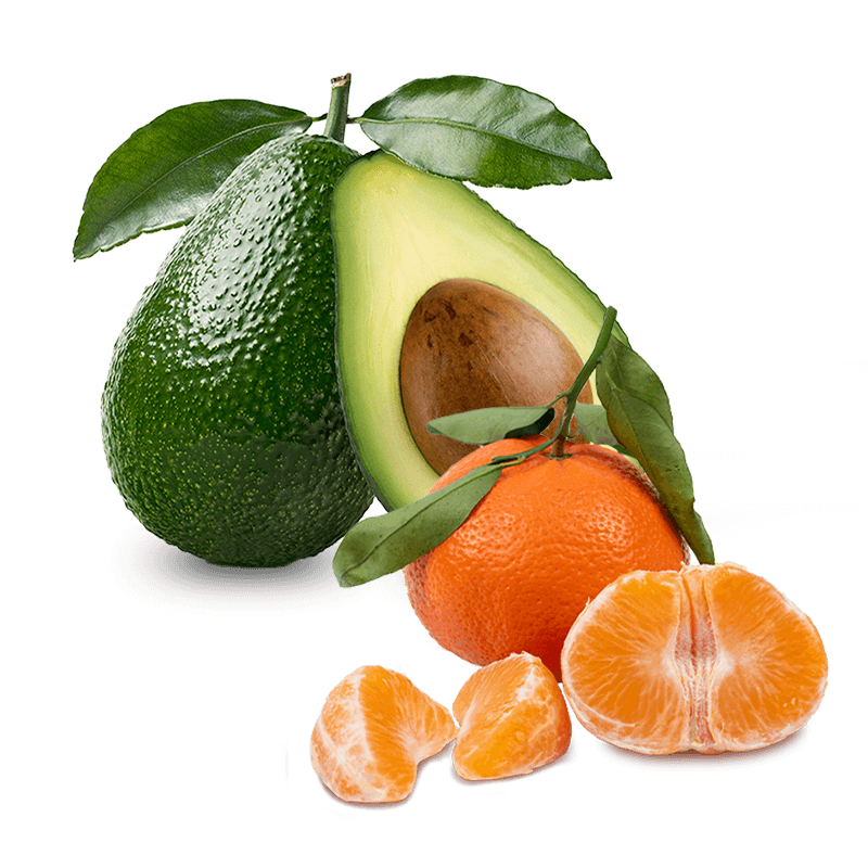 Cesta Aguacate Baby y Mandarina Baby