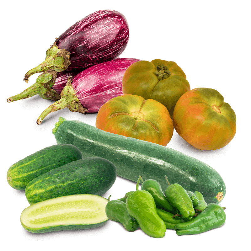 Cesta Tomates, Pepinos Calabacín, Berenjenas y Pimiento de Padrón