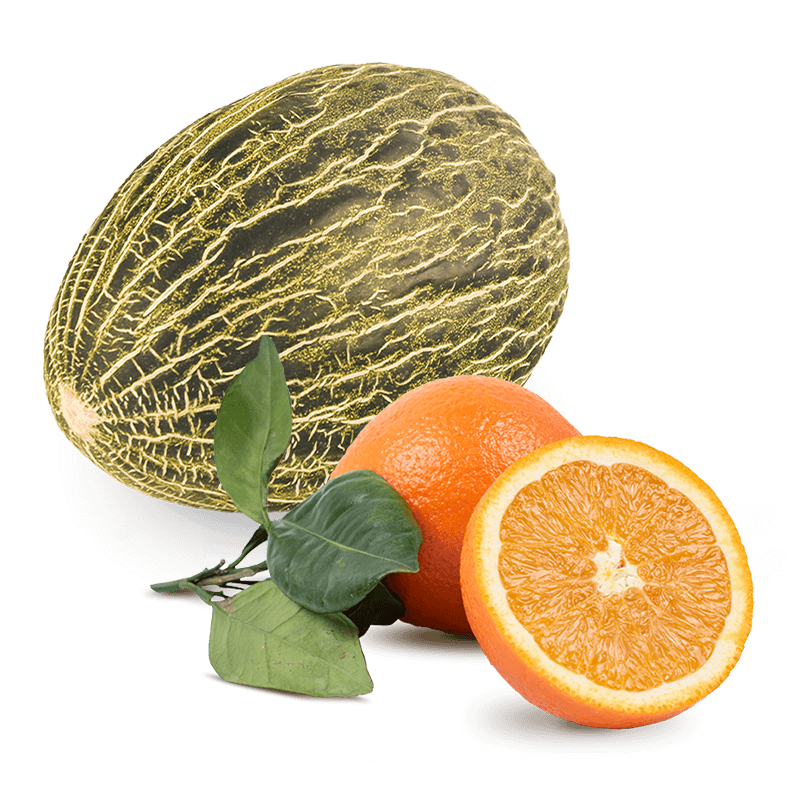 Cesta Melón y Naranjas de zumo