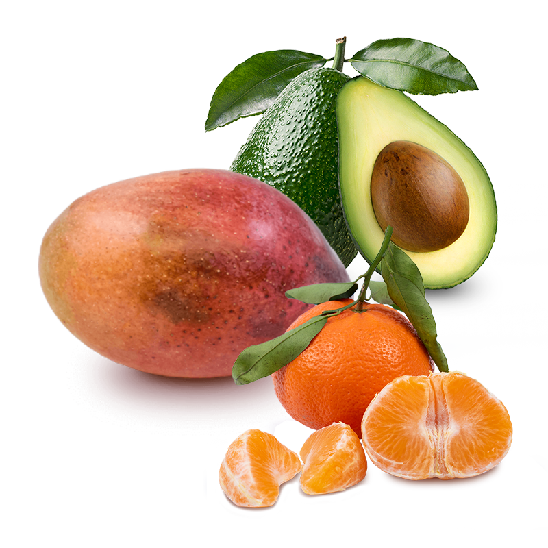 Cesta Mandarinas, Aguacates y Mangos