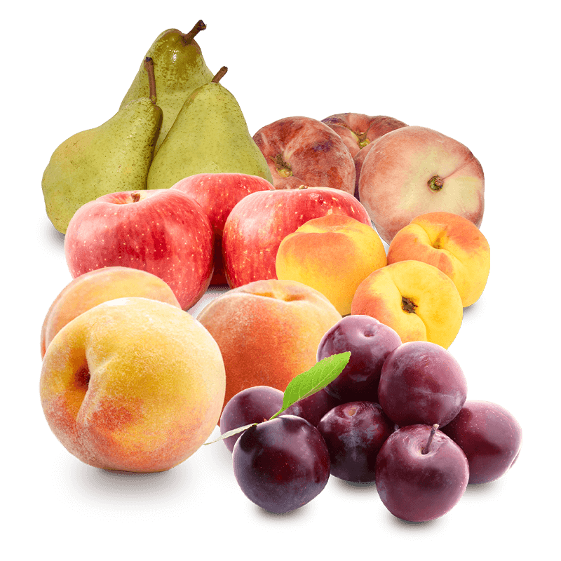 Cesta Melocotones, Manzanas, Peras Condesa, Paraguayo, Ciruelas y Albaricoques
