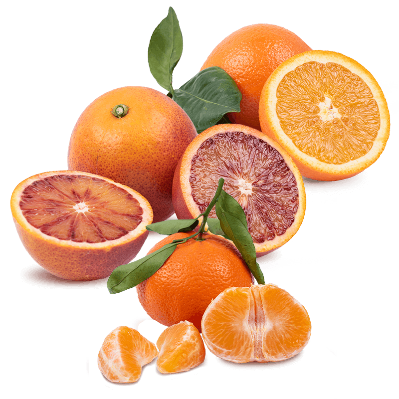 Cesta Naranjas de Zumo, Mandarinas y Naranjas Sanguinas