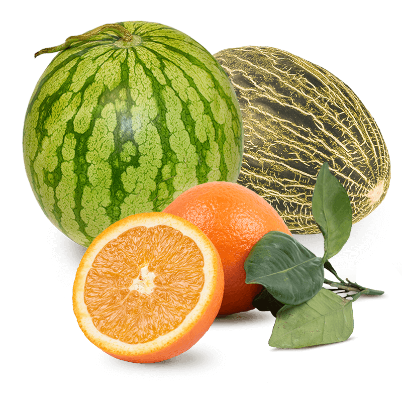 Cesta Sandía, Melón y Naranjas de zumo