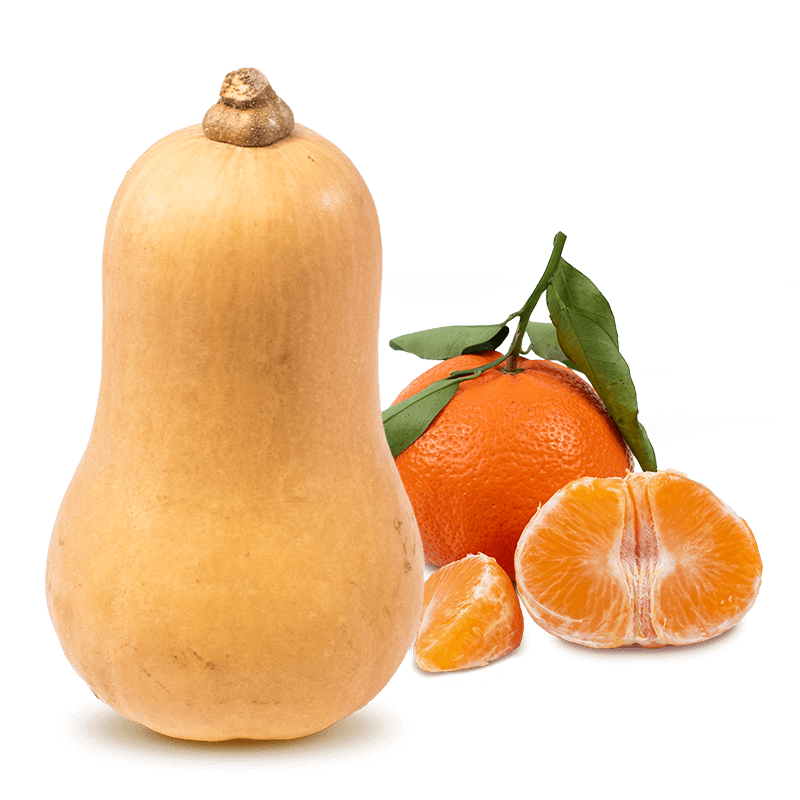 Cesta Calabaza violín y Mandarinas