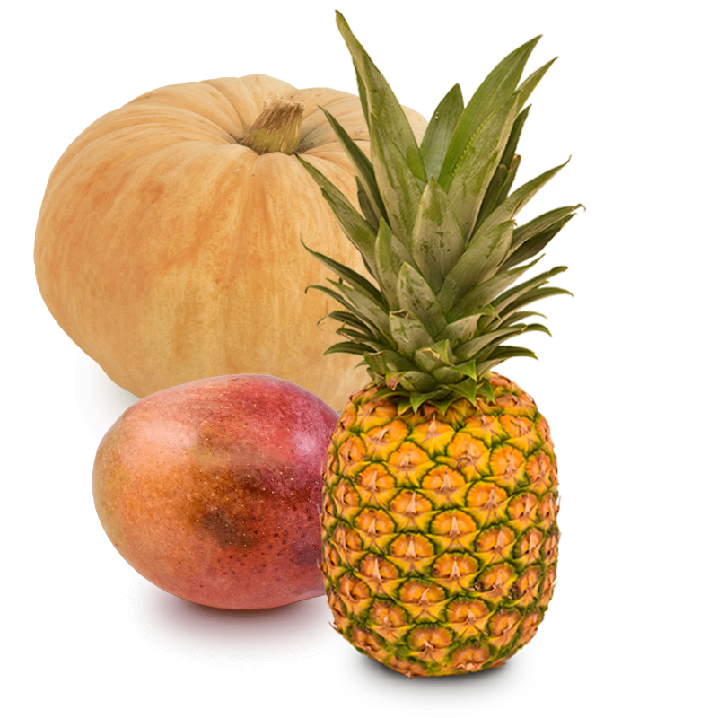 Cesta Calabaza Piña Mango