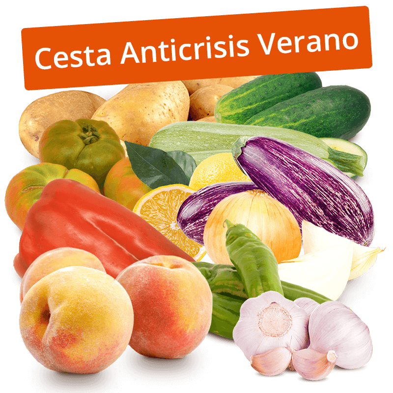 Cesta Patatas, Cebollas, Ajos, Pepinos, Tomates, Berenjenas, Calabacines, Limones, Pimiento Rojo, Pimientos verdes y Melocotones