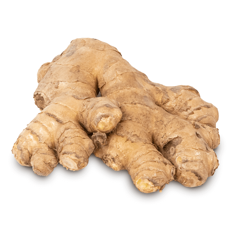 Jengibre - FrutaMare