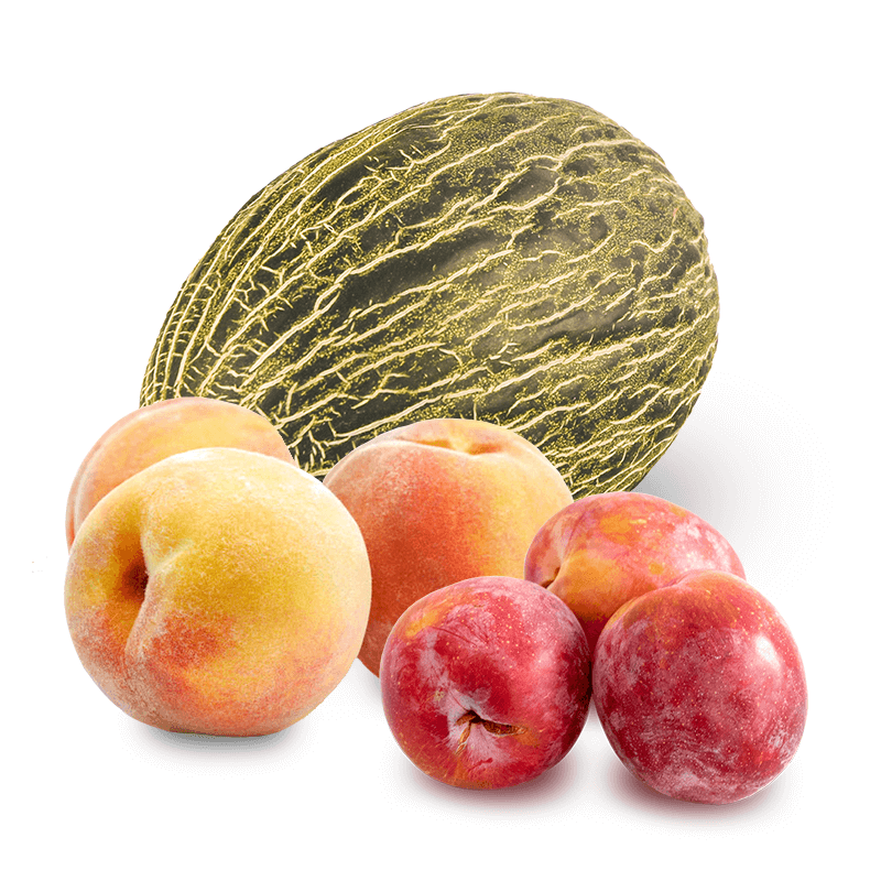 Cesta Melón, Ciruelas rojas y Melocotones - FrutaMare