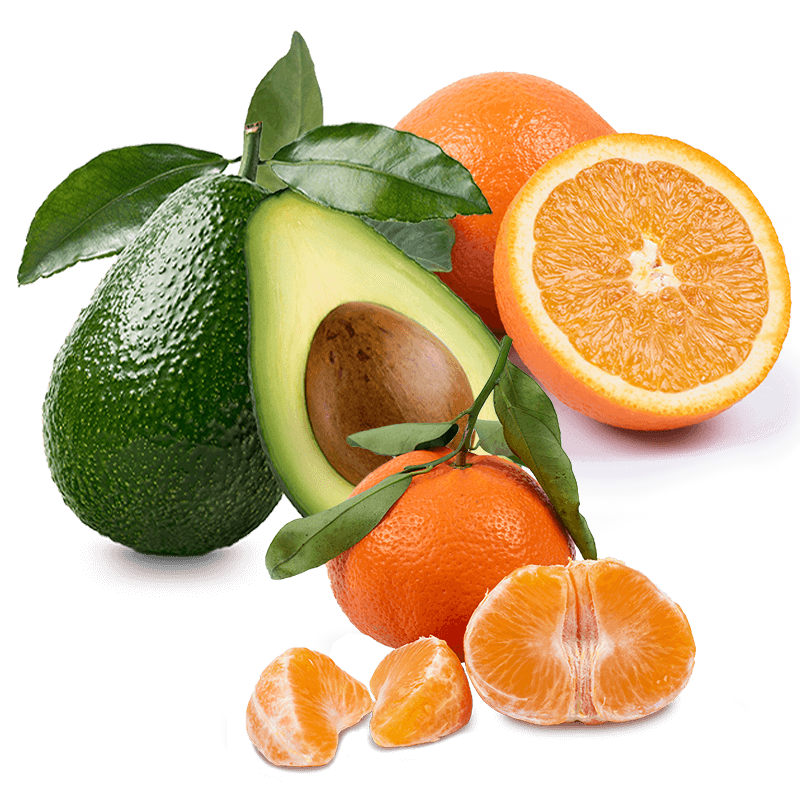 Cesta Naranjas de Zumo, Mandarinas y Aguacates - FrutaMare