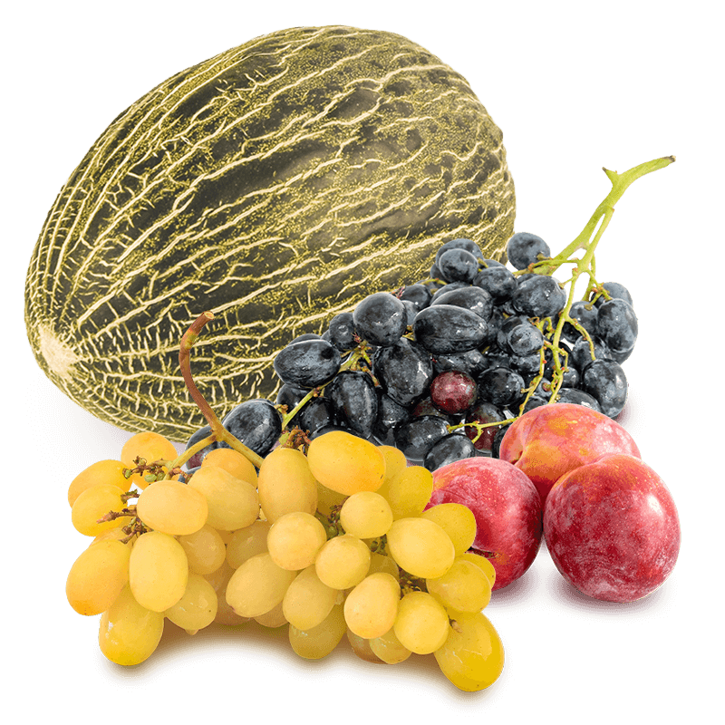Cesta Uva blanca, Uva negra, Ciruelas y Melón - FrutaMare