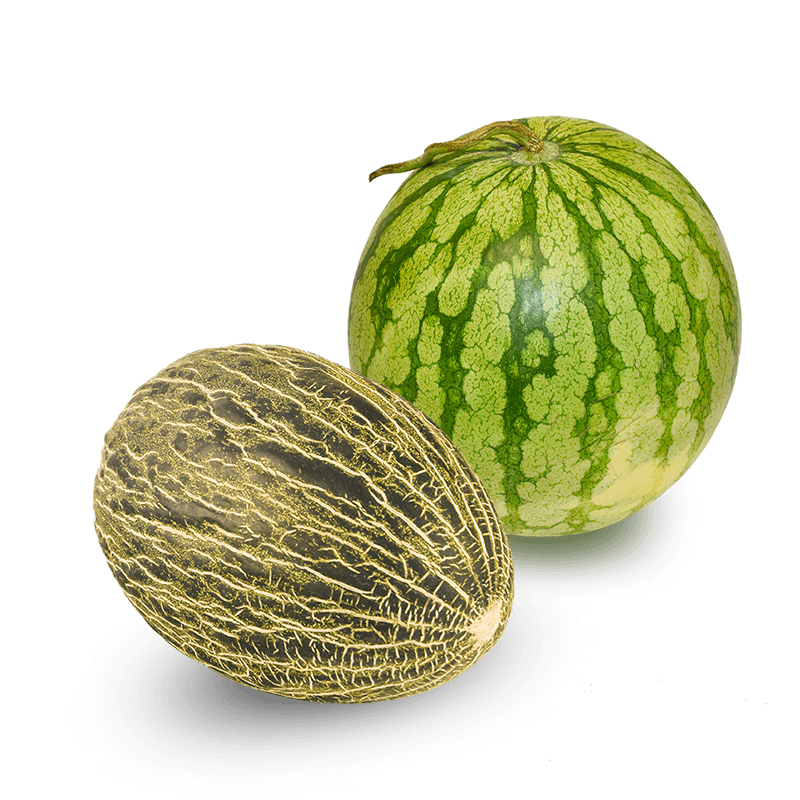 Cesta Melón y Sandía - FrutaMare
