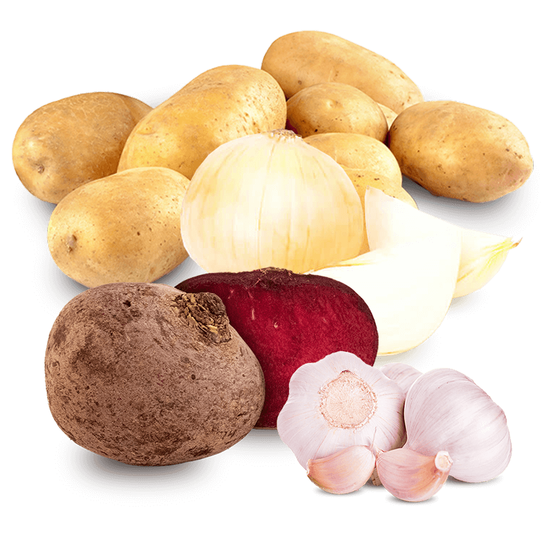 Cesta Patatas, Cebollas, Ajos y Remolachas