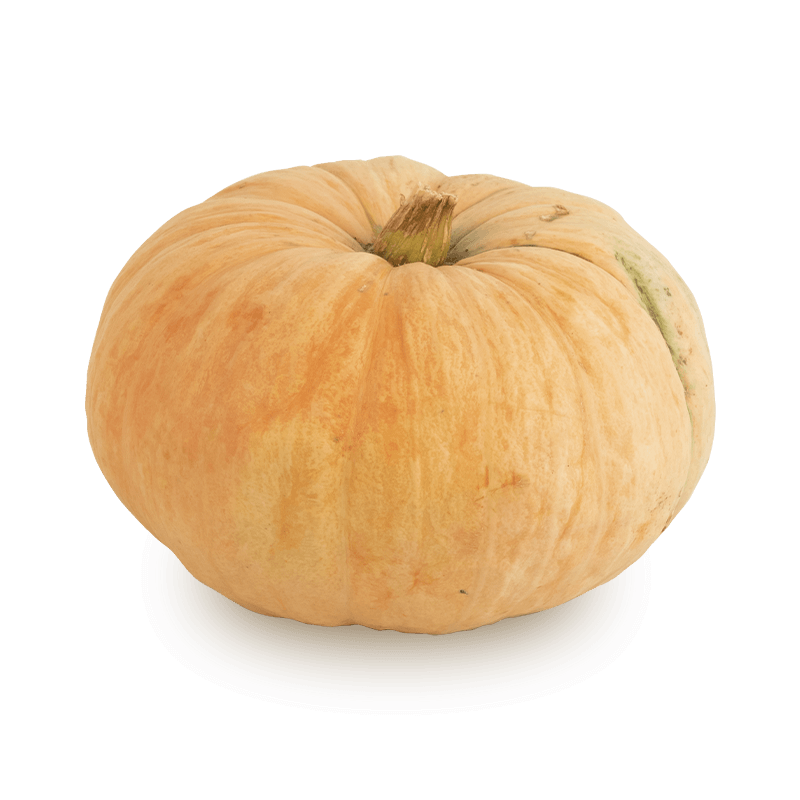 Calabaza - FrutaMare