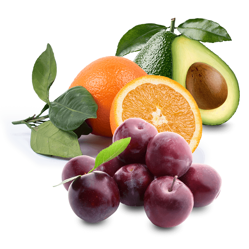Cesta Naranjas de Zumo, Ciruelas Fresa y Aguacates - FrutaMare
