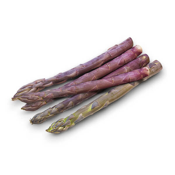 Espárrago Morado - FrutaMare