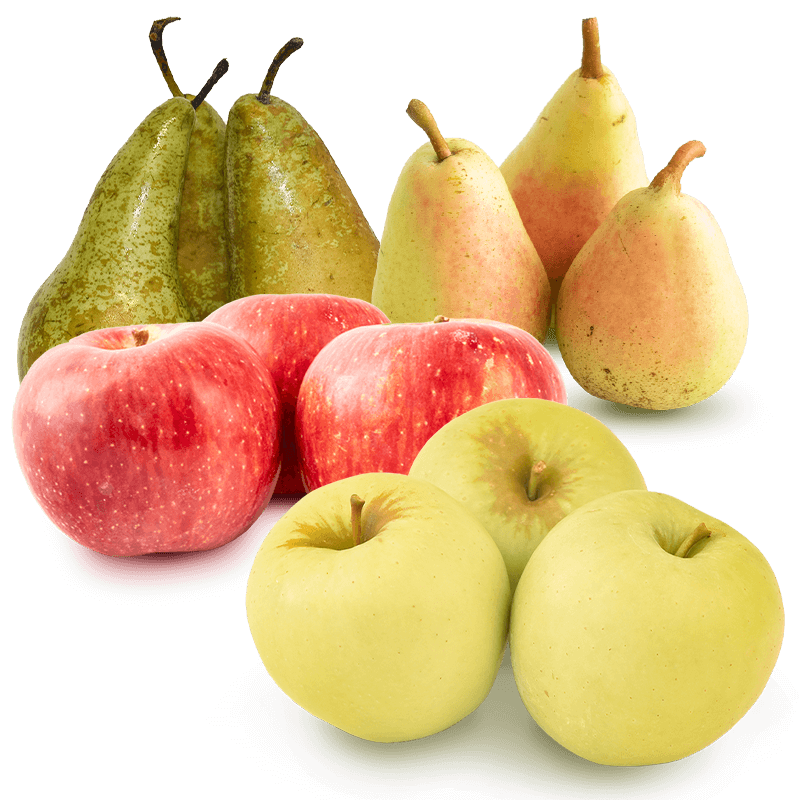 Cesta Manzana Golden, Manzana Starking, Pera Conferencia y Pera Ercolina - FrutaMare