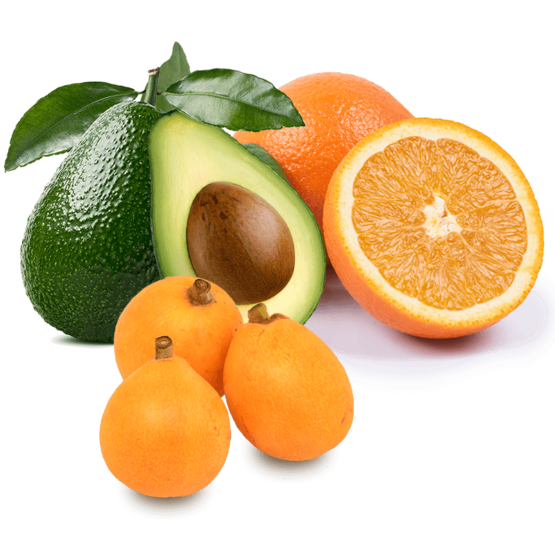 Cesta Naranjas de Zumo, Nísperos y Aguacates - FrutaMare