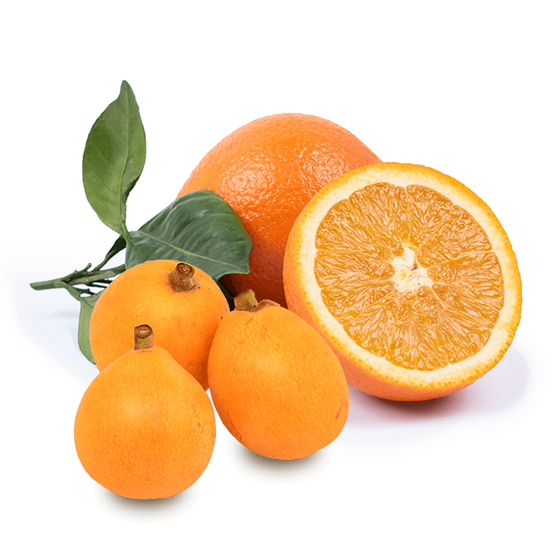 Cesta Naranjas de Zumo y Nísperos - FrutaMare