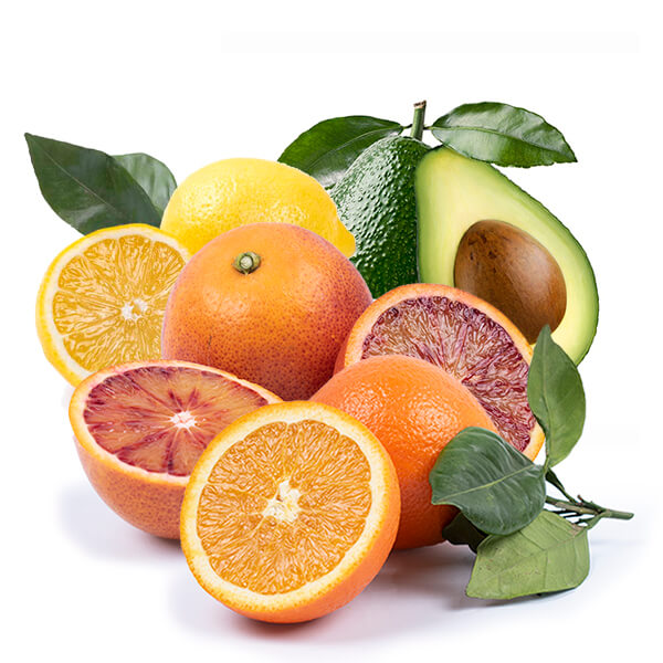 Cesta Naranjas de Zumo, Sanguinas, Limones y Aguacates - FrutaMare