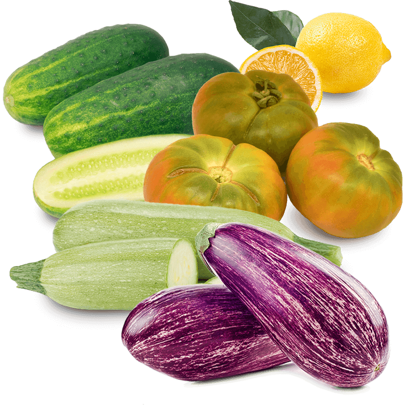 Cesta Tomates Valencianos Ensalada, Pepinos, Calabacines, Berenjenas y Limones
- FrutaMare