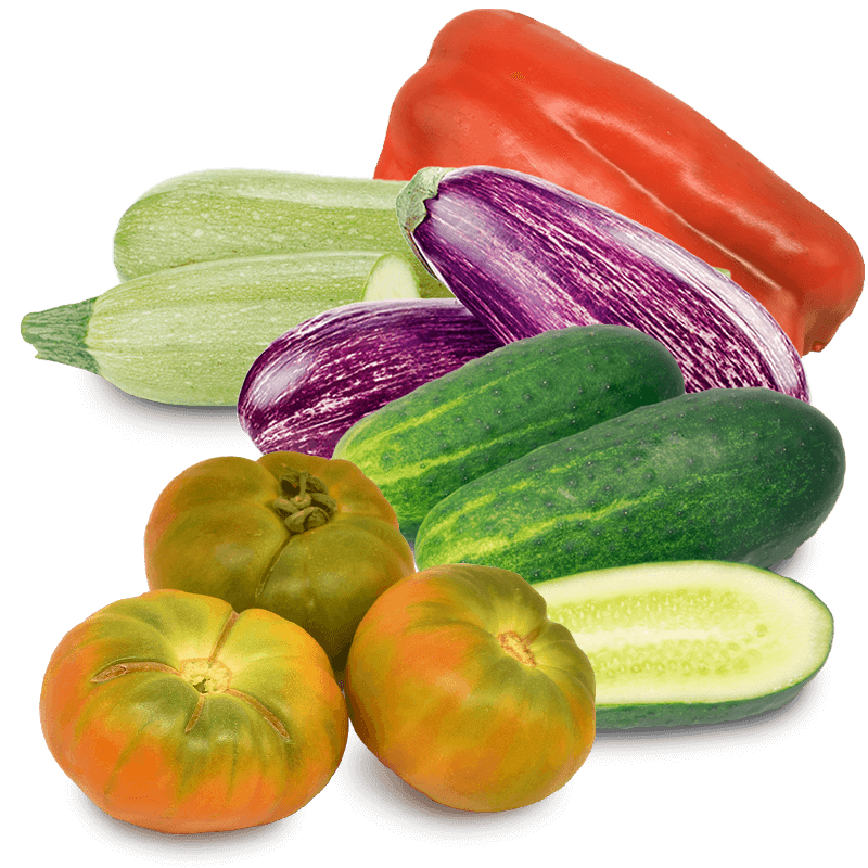 Cesta Mini Tomate Valenciano de Ensalada, Pepino, Calabacín, Berenjena y Pimiento rojo - FrutaMare