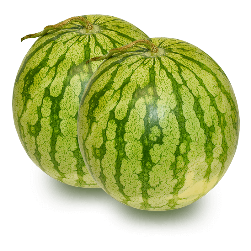 Sandias - FrutaMare
