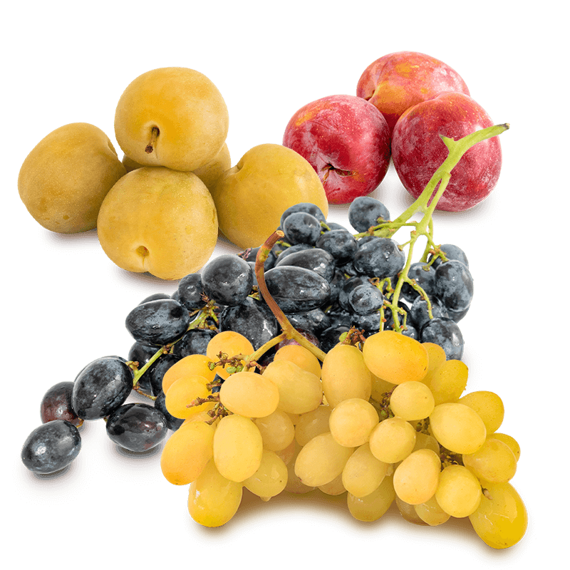 Cesta Uva Blanca, Uva Negra, Ciruela Roja y Ciruela Claudia - FrutaMare