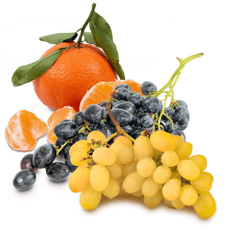 Cesta Uva blanca, uva negra y mandarinas - FrutaMare