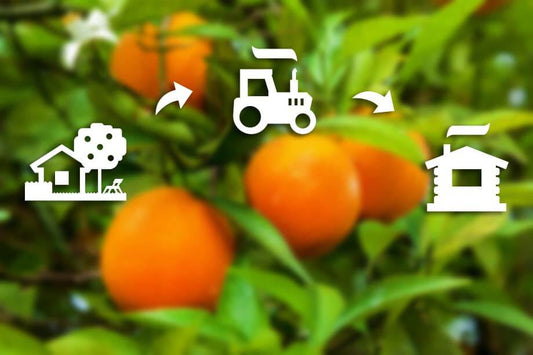 ¿Por Qué Comprar Naranjas Directamente Al Agricultor?