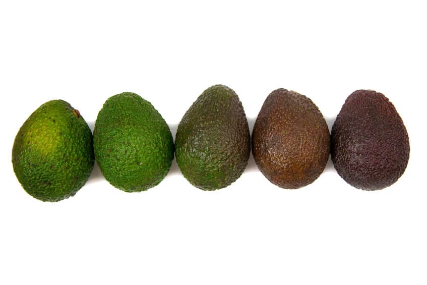 maduración del aguacate