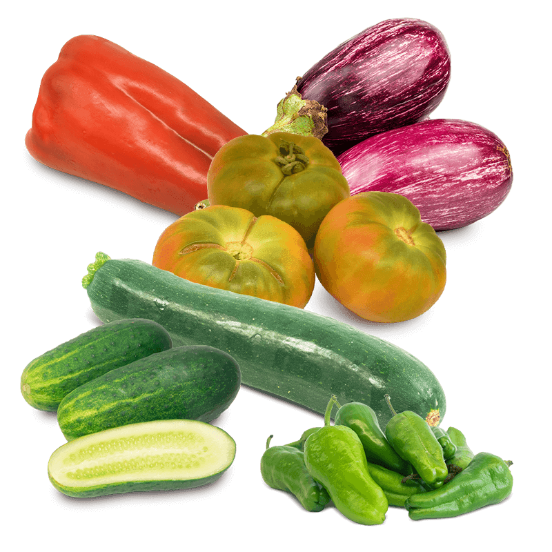 Cesta Tomate, Pepinos, Calabacín, Berenjenas, Pimiento Rojo y Pimiento de Padron
