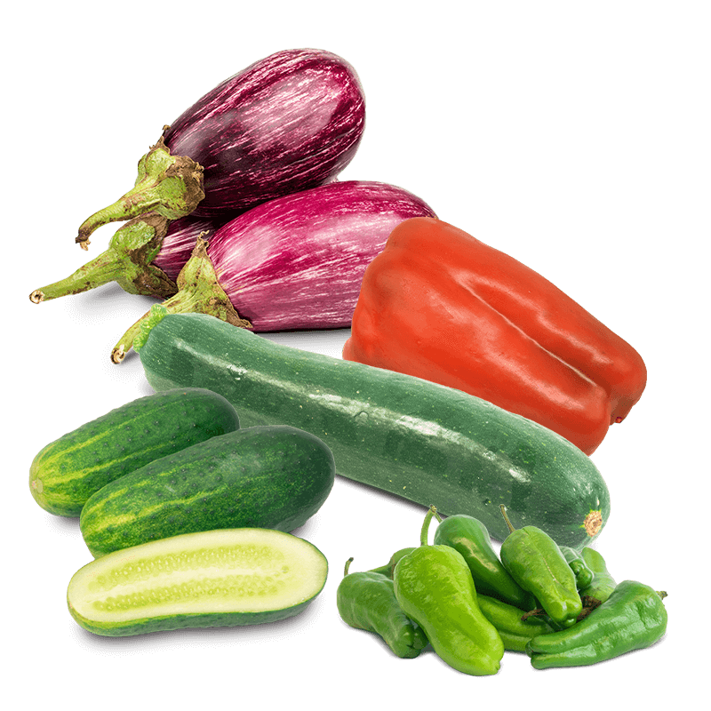 Cesta Pepinos, Calabacín, Berenjenas, Pimiento Rojo y Pimiento de Padrón