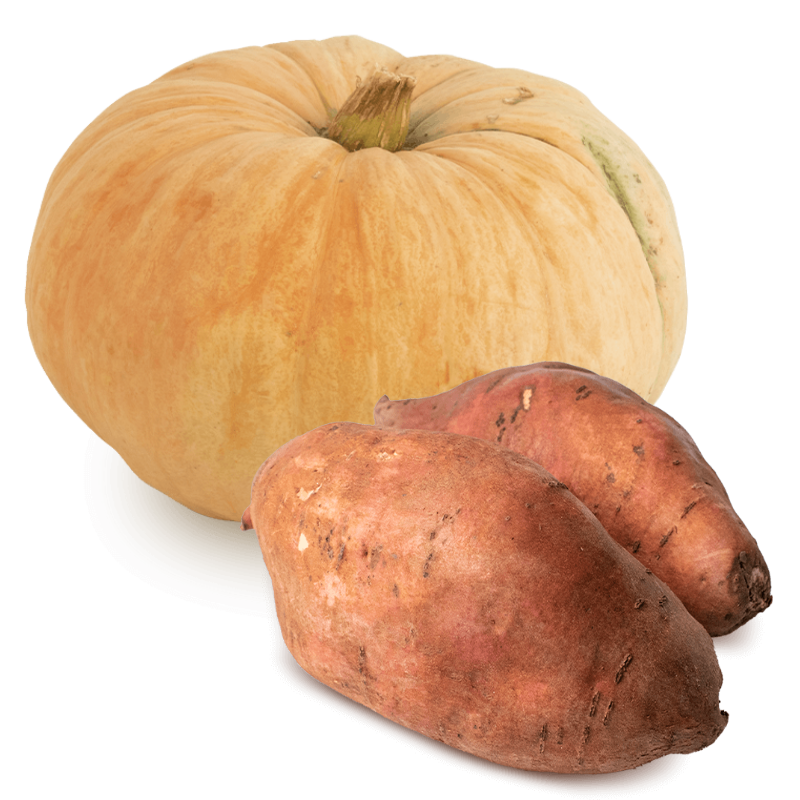 Cesta Calabaza Batatas