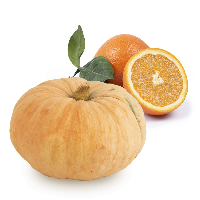 Cesta Calabaza y Naranjas de Zumo