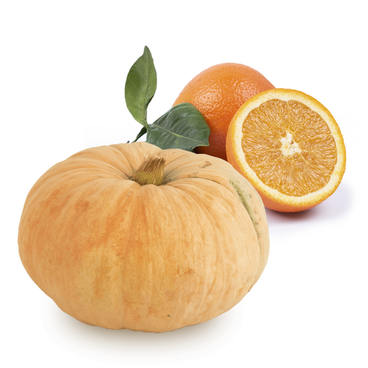 Cesta Calabaza y Naranjas de Zumo