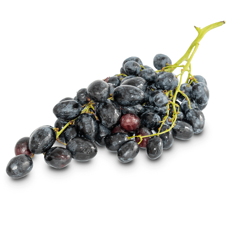Uva negra - FrutaMare