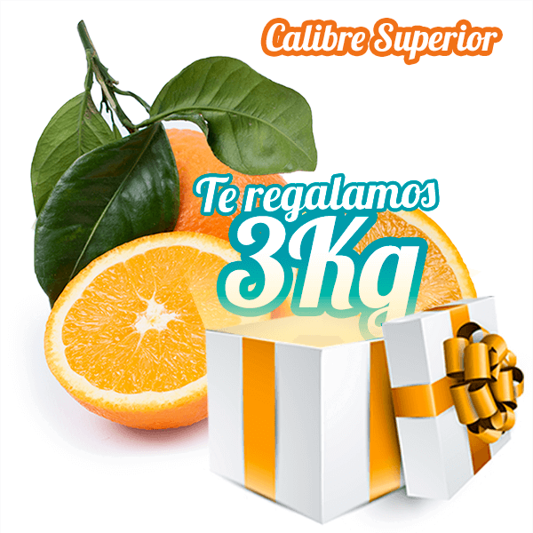 ★PROMO★ Naranjas de Mesa Calibre Superior 10Kg + 3Kg Gratis - FrutaMare