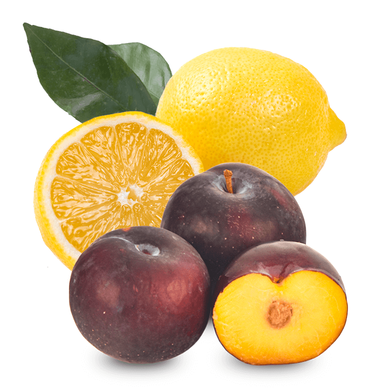 Ciruelas black diamond y limones - FrutaMare