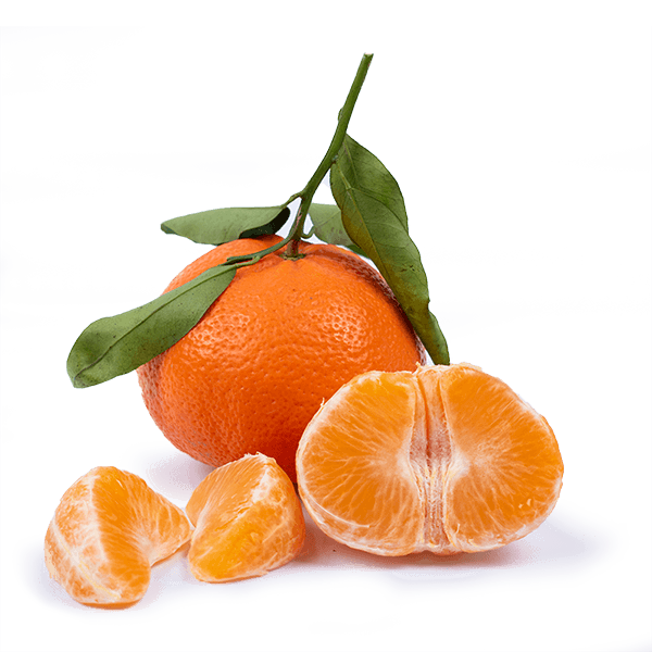 Mandarina - FrutaMare