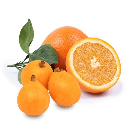 Cesta Naranjas de Zumo y Nísperos - FrutaMare
