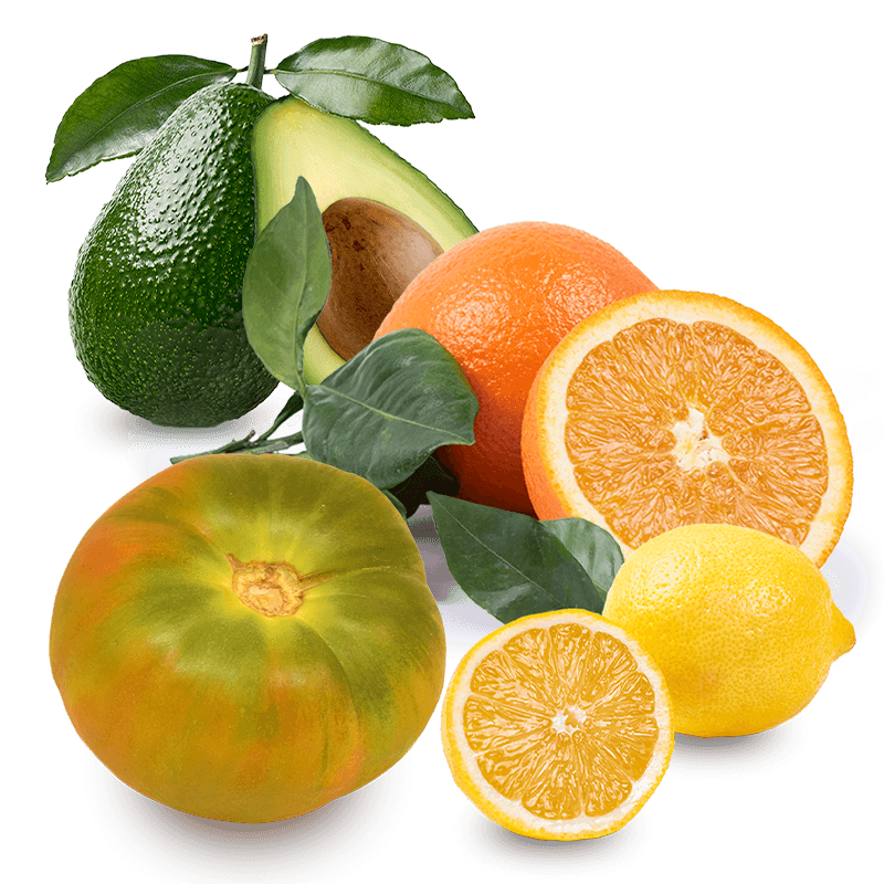 Cesta Naranjas de Zumo, Tomates Raf, Aguacates y Limones - FrutaMare