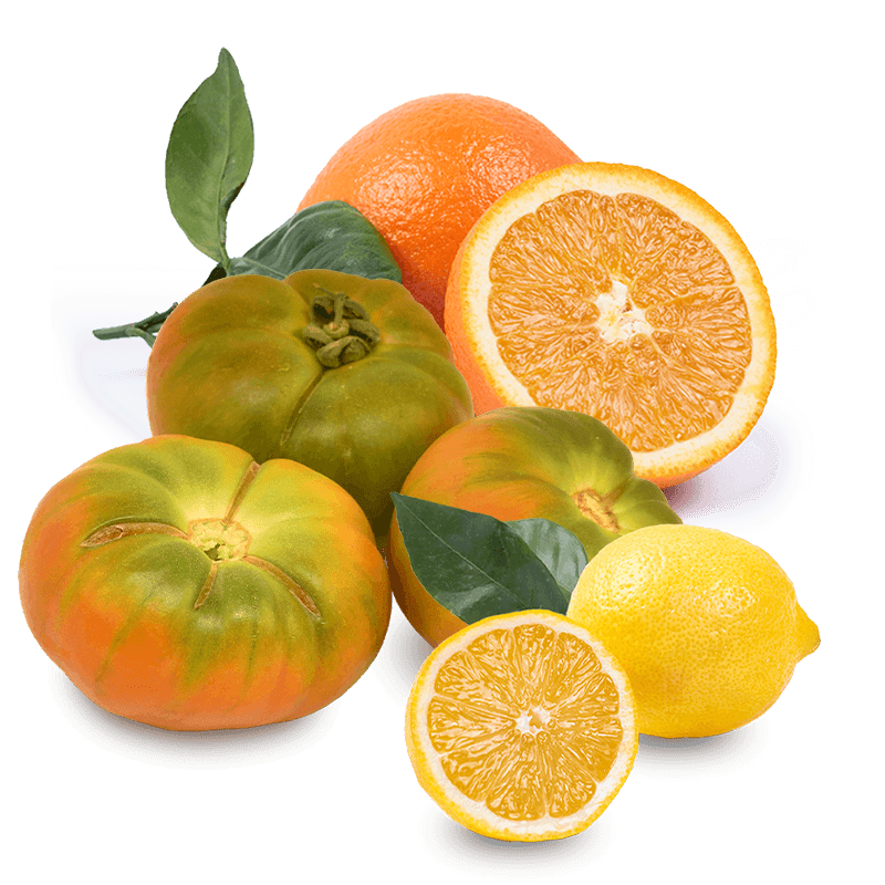 Cesta Naranjas de Zumo, Tomates Raf y Limones - FrutaMare