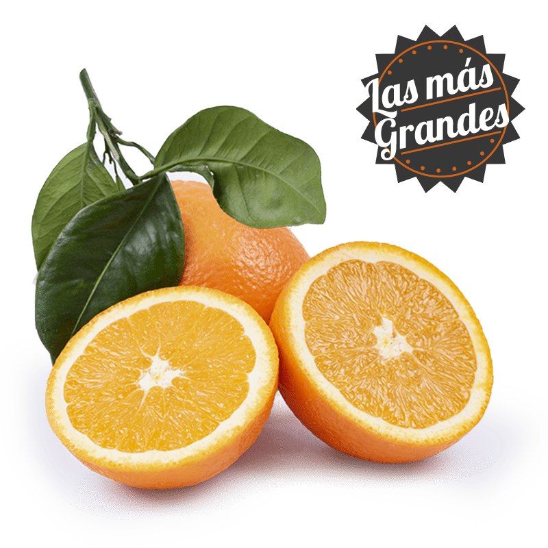 Naranjas de Mesa Calibre Superior - FrutaMare