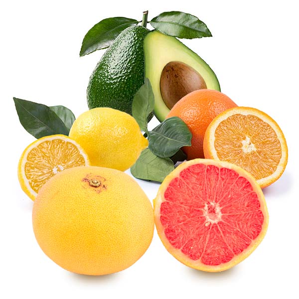 Cesta Naranjas de Zumo, Aguacates, Limones y Pomelos - FrutaMare