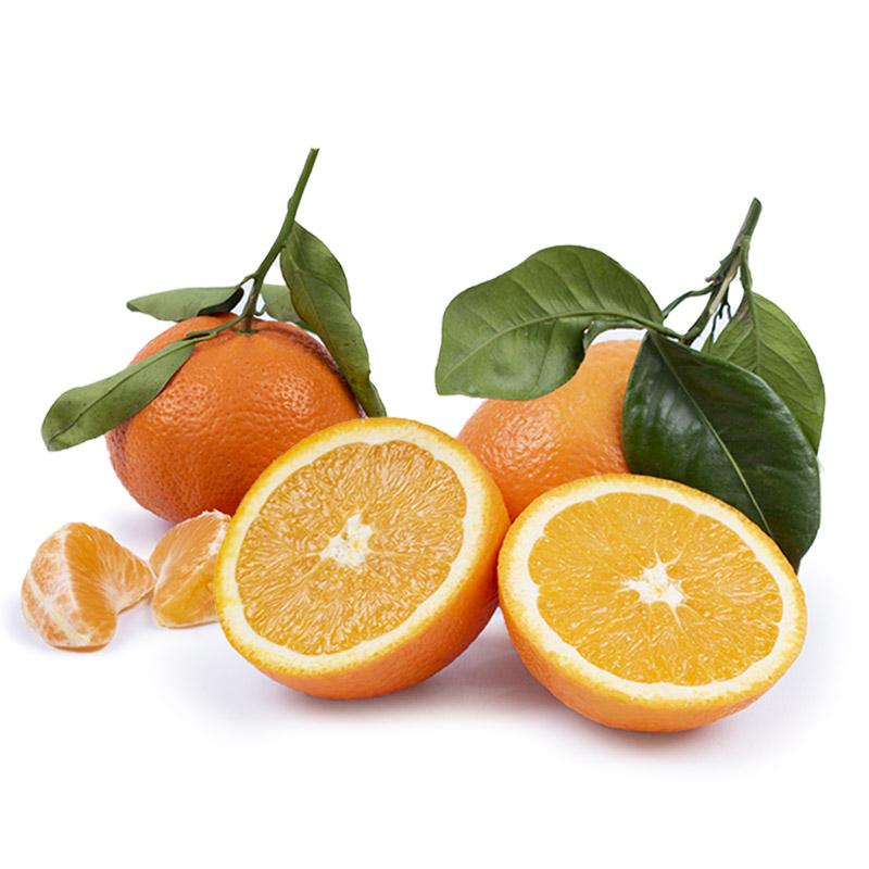Cesta Naranjas de Mesa y Mandarinas - FrutaMare