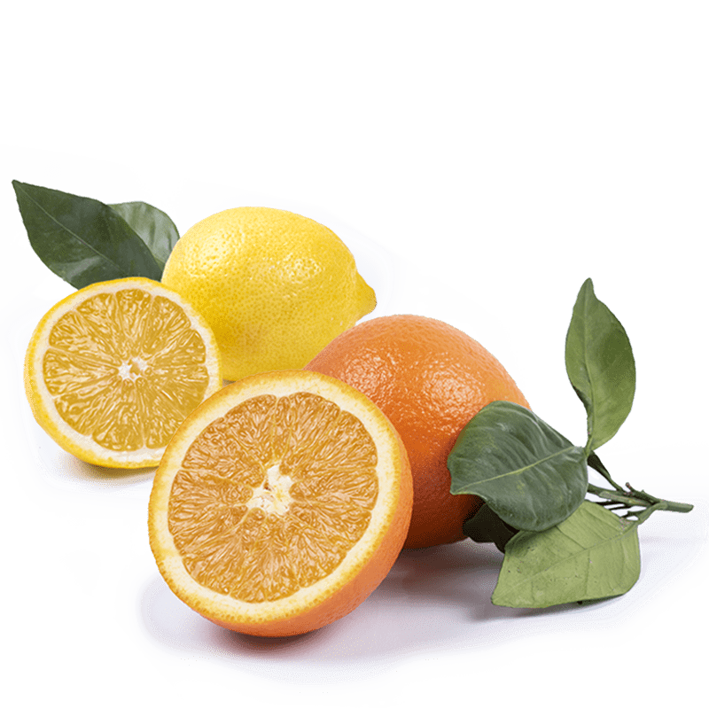 Pack de Naranjas de Zumo y Limón
