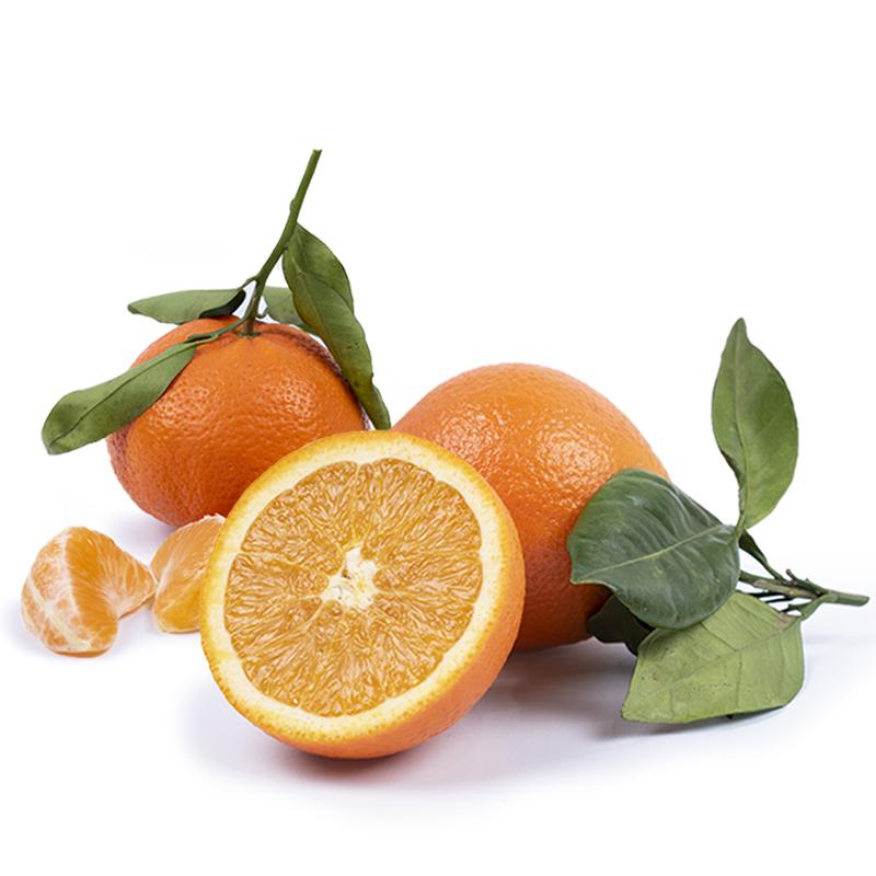 Cesta Naranjas de Zumo y Mandarinas - FrutaMare