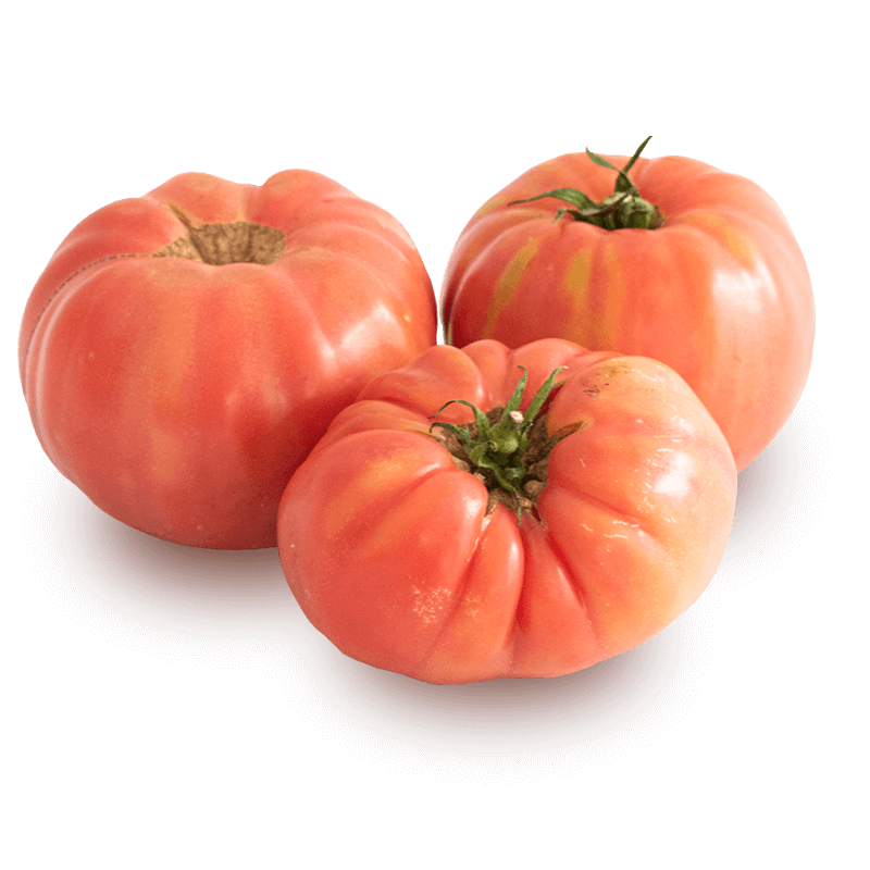 Tomates Rosa - FrutaMare