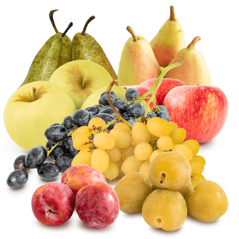 Cesta Uva Blanca, Uva Negra, Ciruela Roja, Ciruela Claudia, Manzanas Golden, Manzanas Starking, Pera conferencia y Pera Ercolina - FrutaMare
